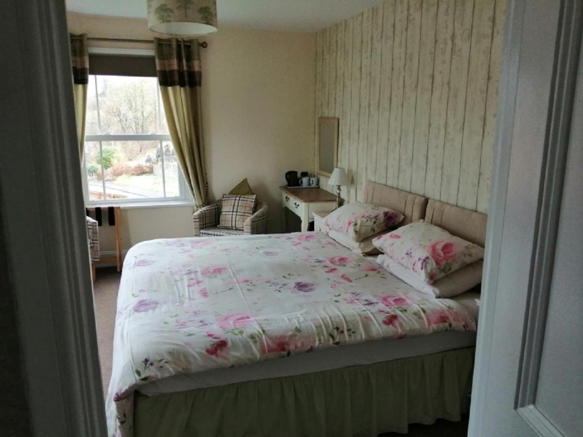 Inn Lion